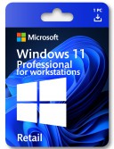 Buy Windows 11 Professional for Workstations