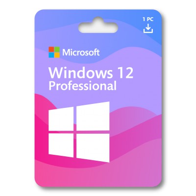 Windows 12 Professional